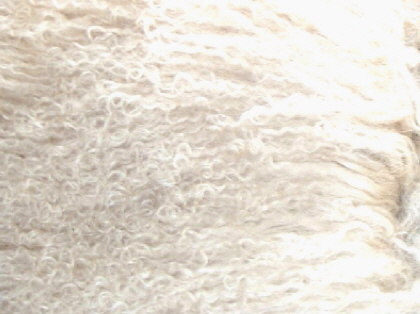 Cream