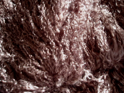 Chocolate Brown