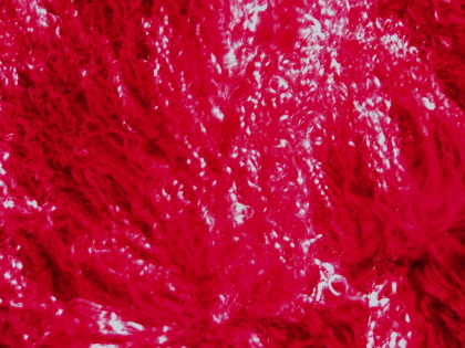    Bright       Red