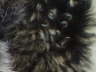 Soft Curly Wool